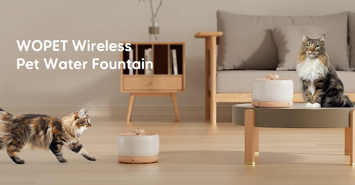 wopet wireless pet water fountain